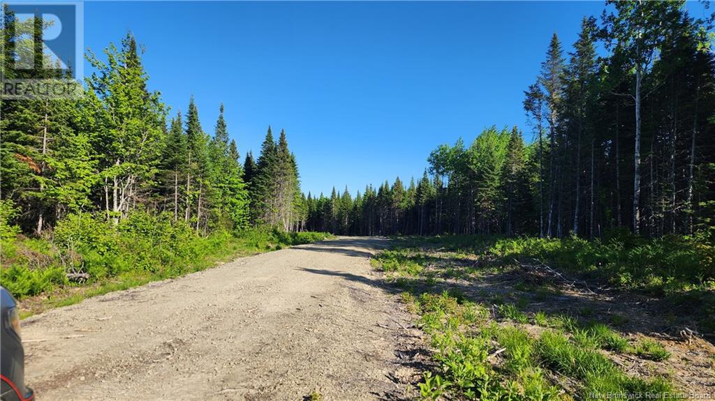 Lot2022-4 Church River Road Property Photo 3