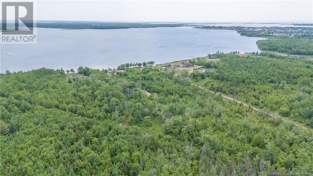 Lot 113 Route Property Photo 4