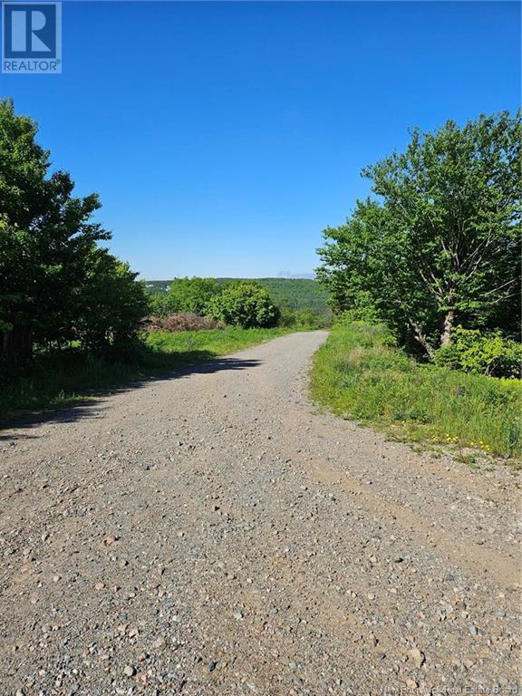 Dolly Drive Property Photo 1