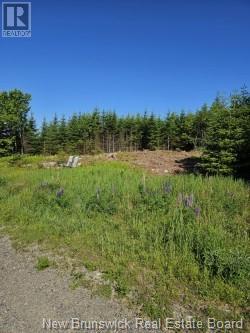Dolly Drive Property Photo 3