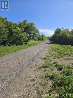 Dolly Drive Property Photo 4