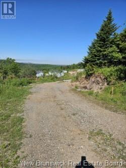 Dolly Drive Property Photo 5