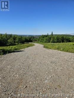 Dolly Drive Property Photo 8