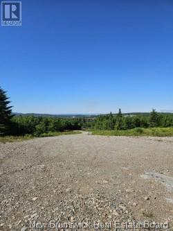 Dolly Drive Property Photo 11