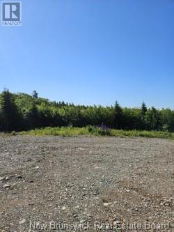 Dolly Drive Property Photo 12