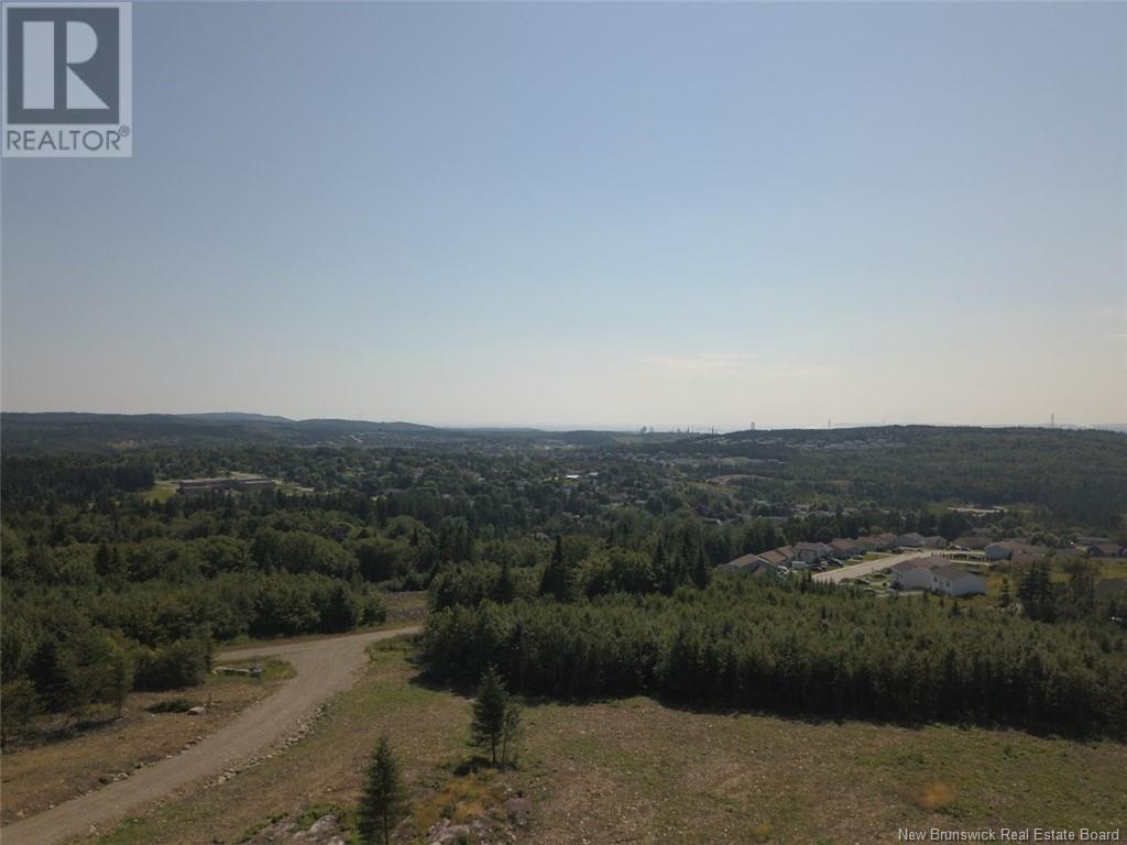 Dolly Drive Property Photo 16