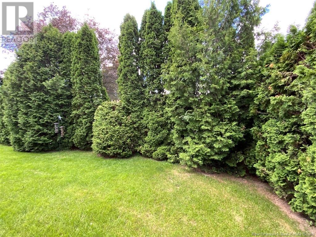 60 Lily Avenue Property Photo 29