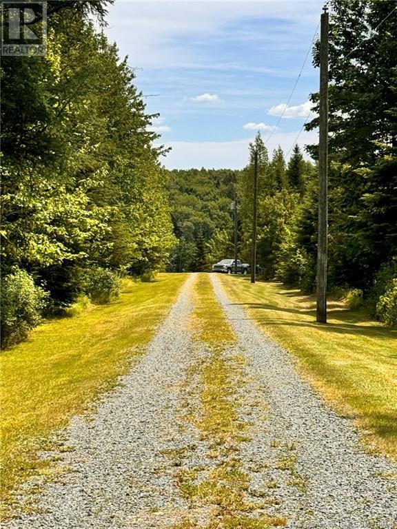 4572 Hwy 108 Property Photo 5