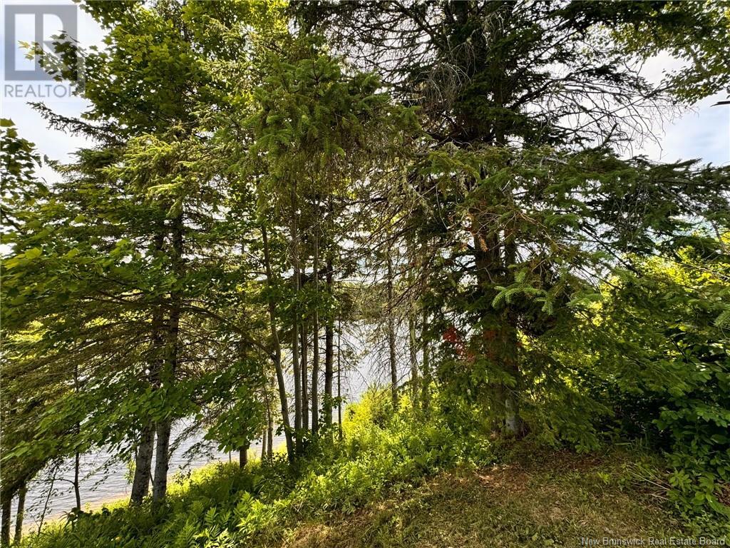 4572 Hwy 108 Property Photo 9