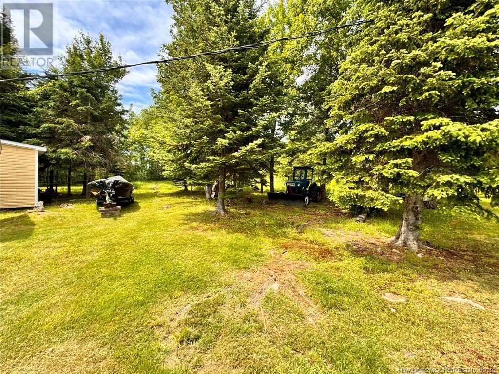 4572 Hwy 108 Property Photo 36