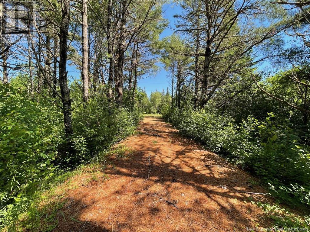519 725 Route Property Photo 6