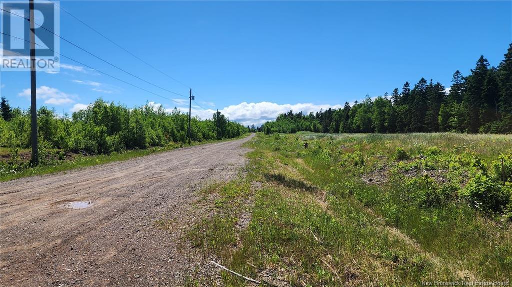 4034sm3de8 Rue Alfreda Property Photo 1