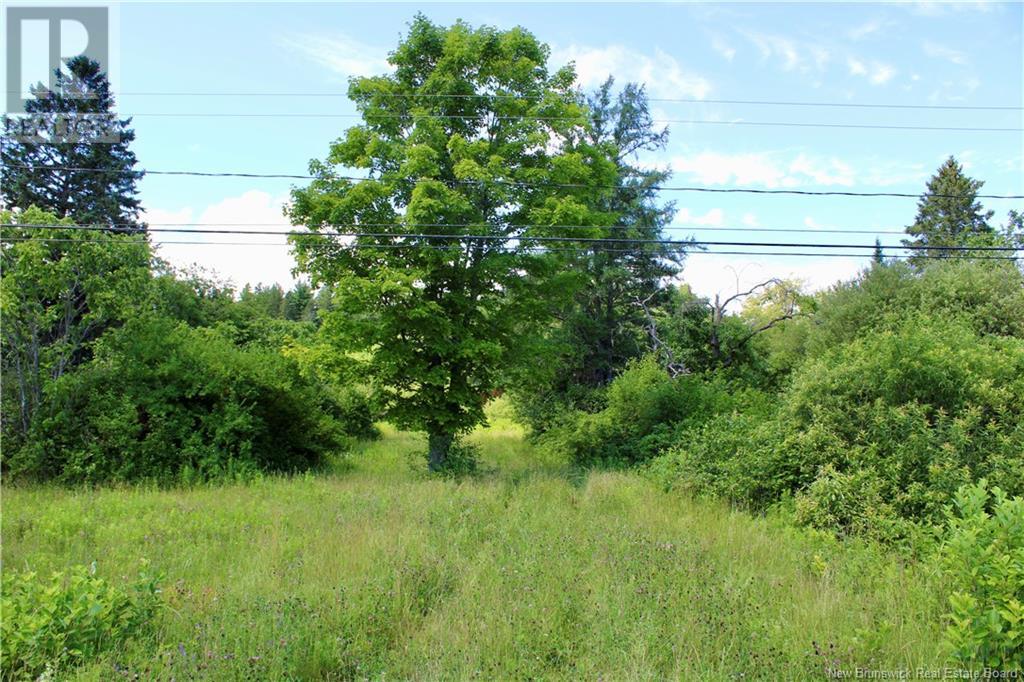 9841 Route 8 Property Photo 1