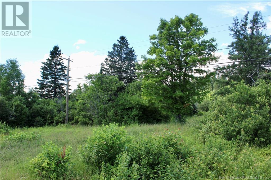 9841 Route 8 Property Photo 2