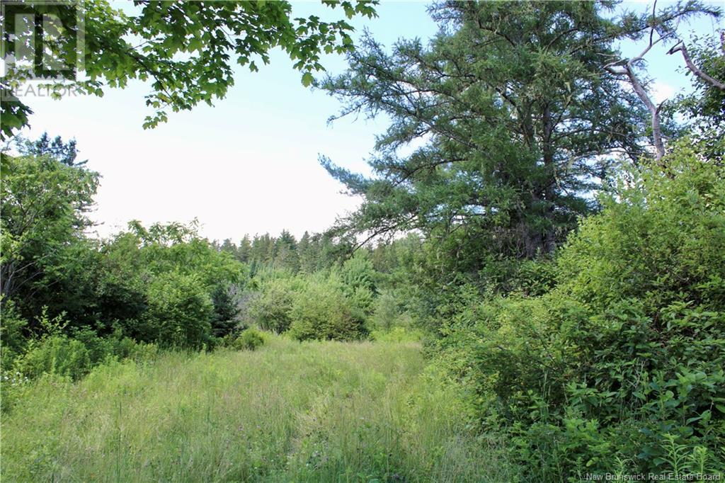9841 Route 8 Property Photo 4
