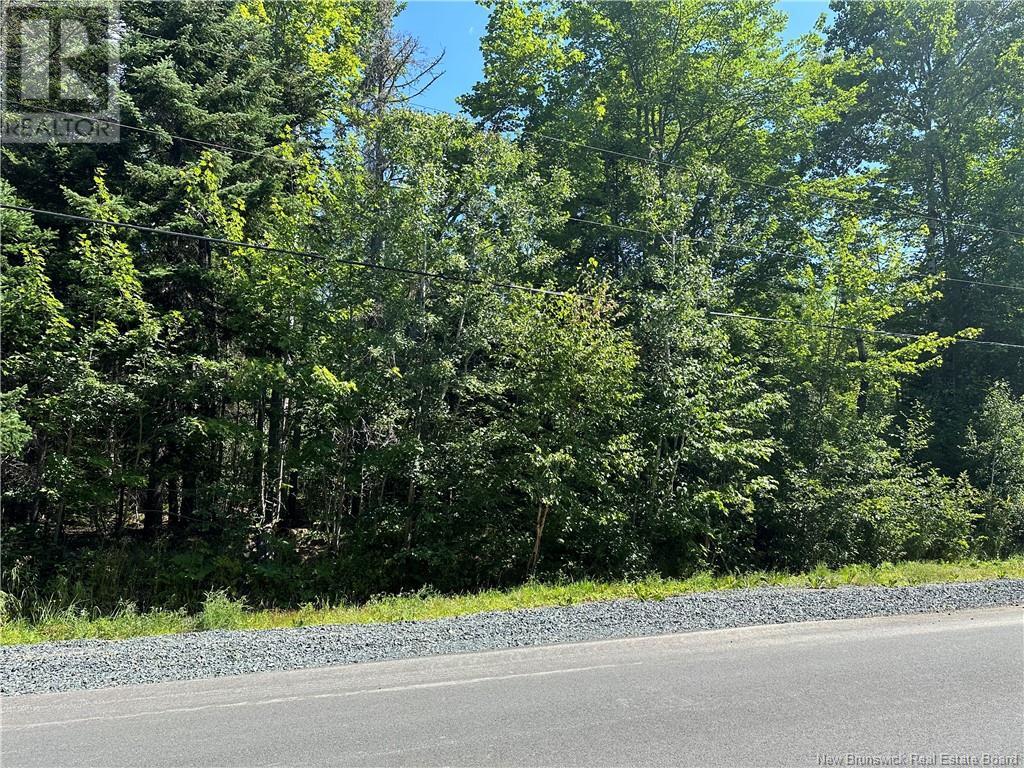Boul Des Acadiens Property Photo 2