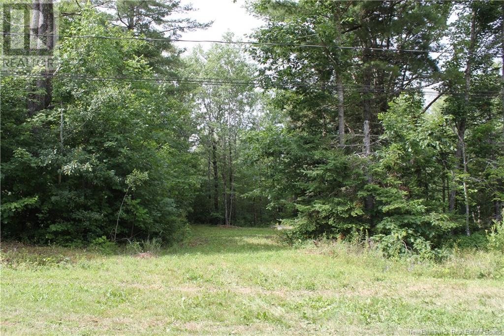 Holland Lane Property Photo 3