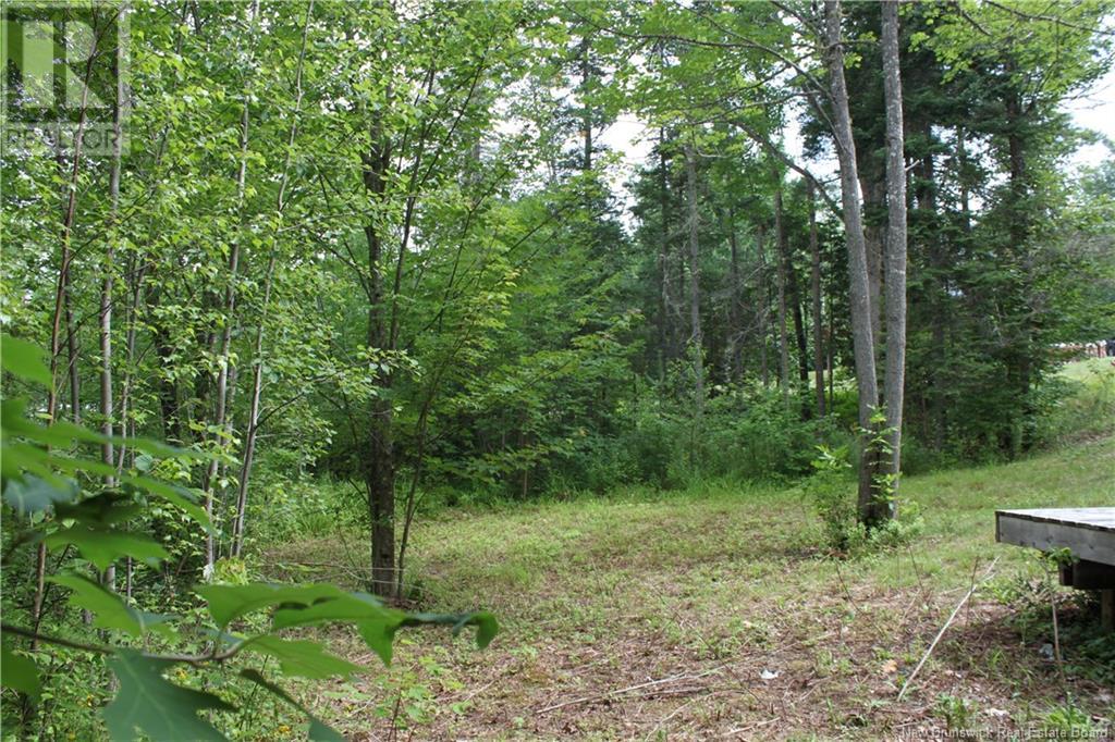Holland Lane Property Photo 17