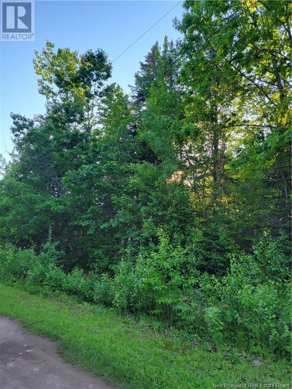 Lot 79-18 Morton Lane Property Photo