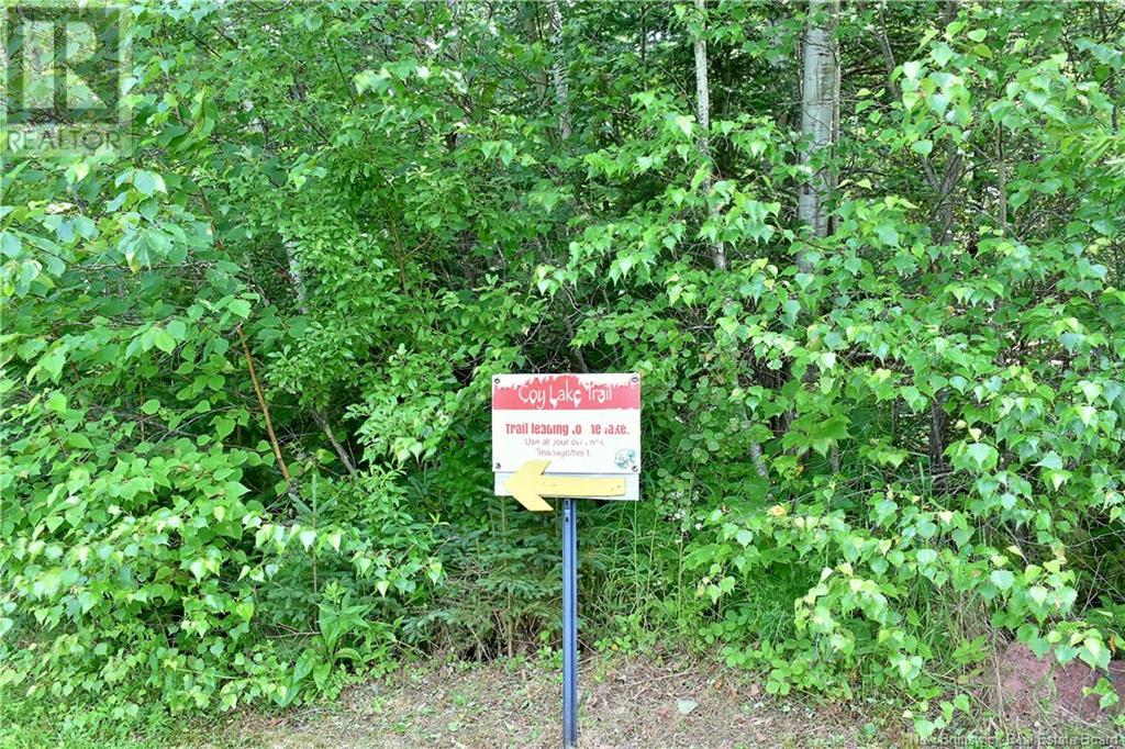 1805 Route 102 Property Photo 25