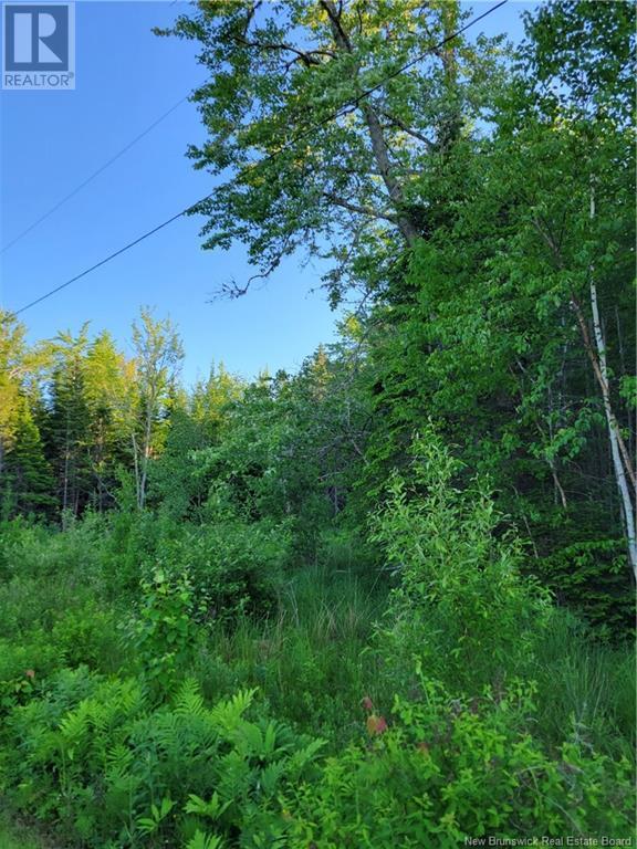 Lot 79-19 Morton Lane Property Photo