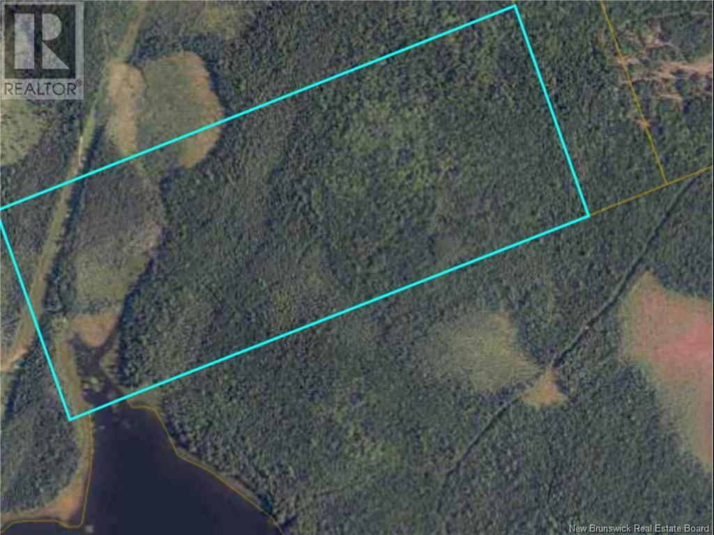 0 Parker Road Property Photo 3