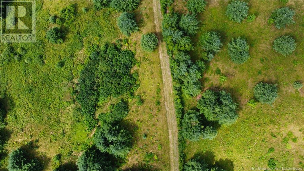 Land Elm Hill Road Property Photo 16