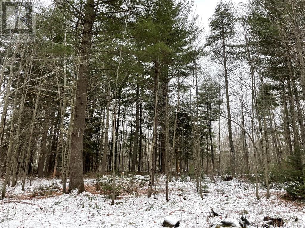Lot Pleasant Drive Property Photo 9