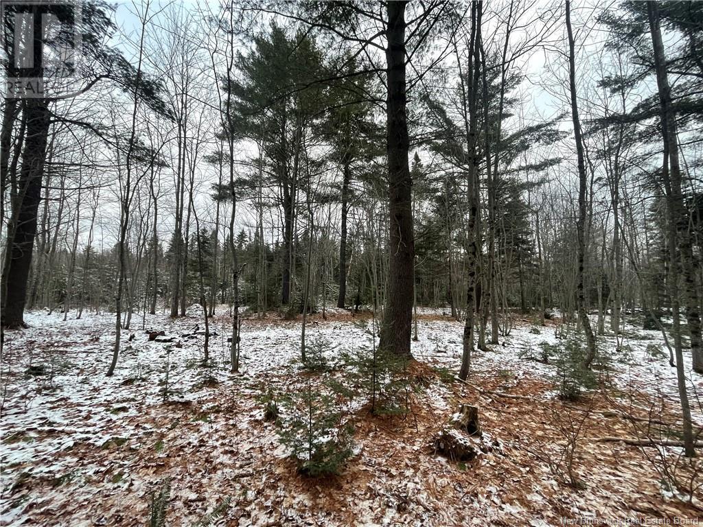 Lot Pleasant Drive Property Photo 11