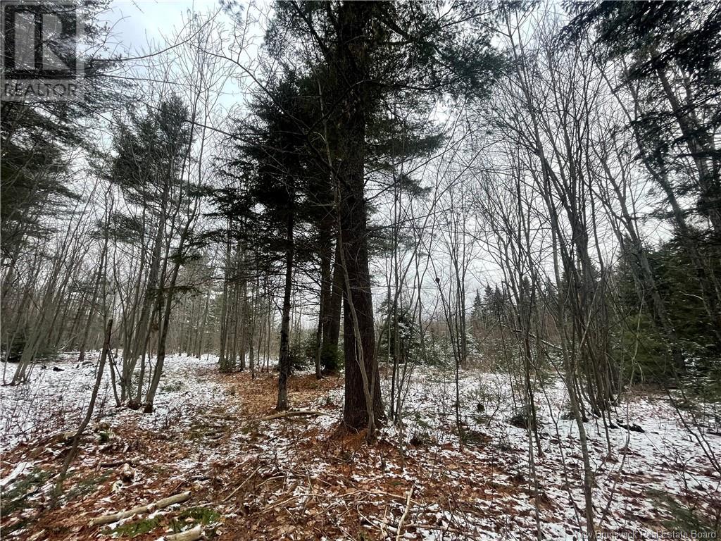 Lot Pleasant Drive Property Photo 12