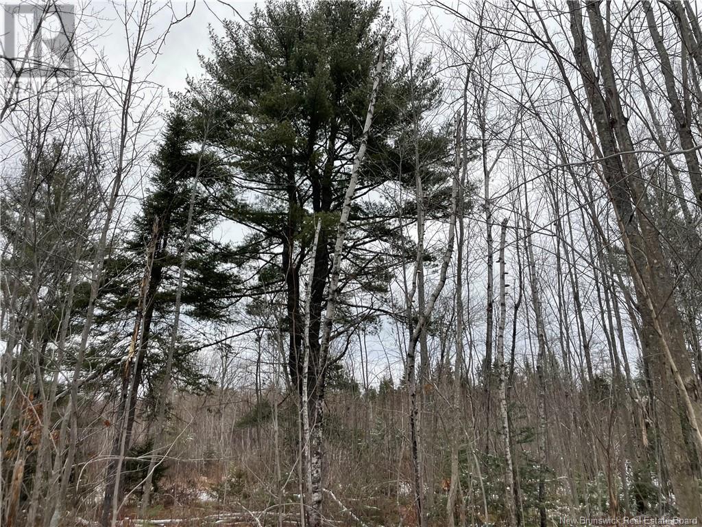 Lot Pleasant Drive Property Photo 13