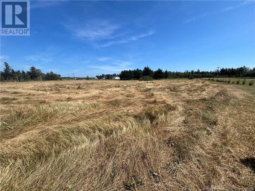 Lot #1 Route 113 Property Photo 3