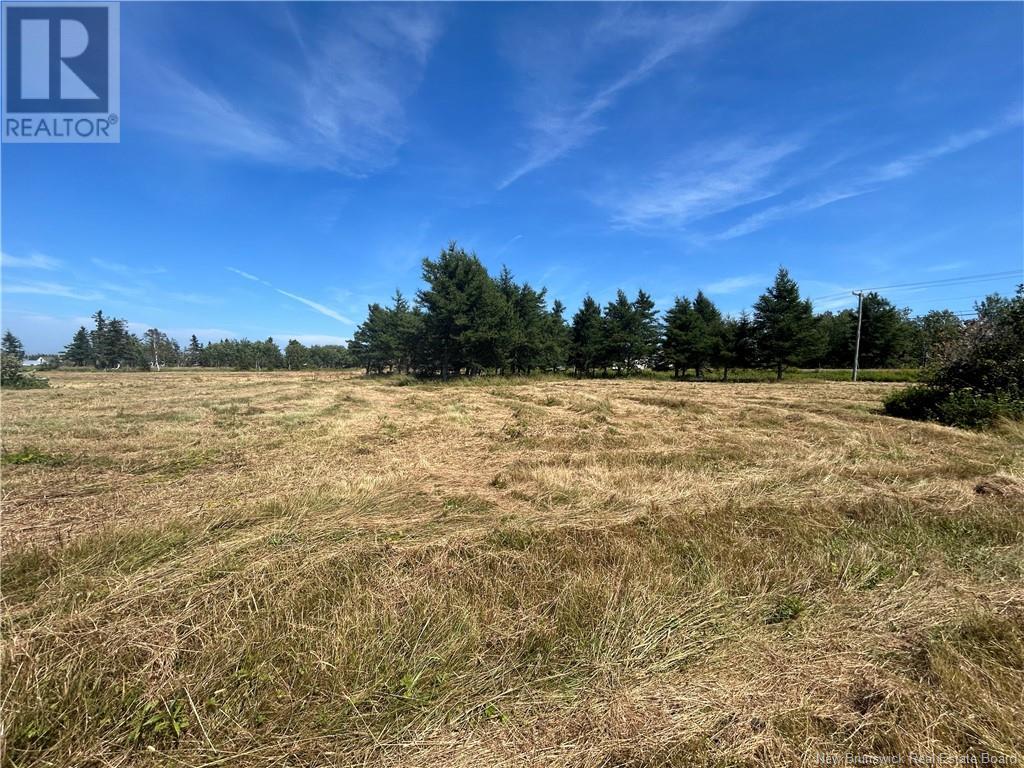 Lot #1 Route 113 Property Photo 4
