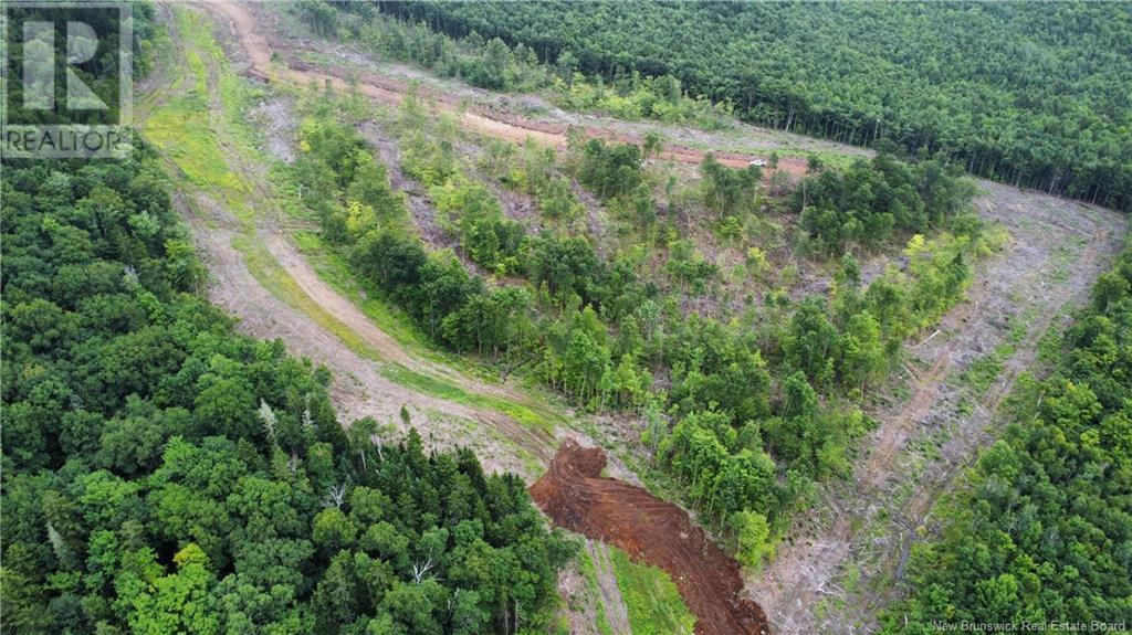 Lot 19 Crabbe Mountain Property Photo 2