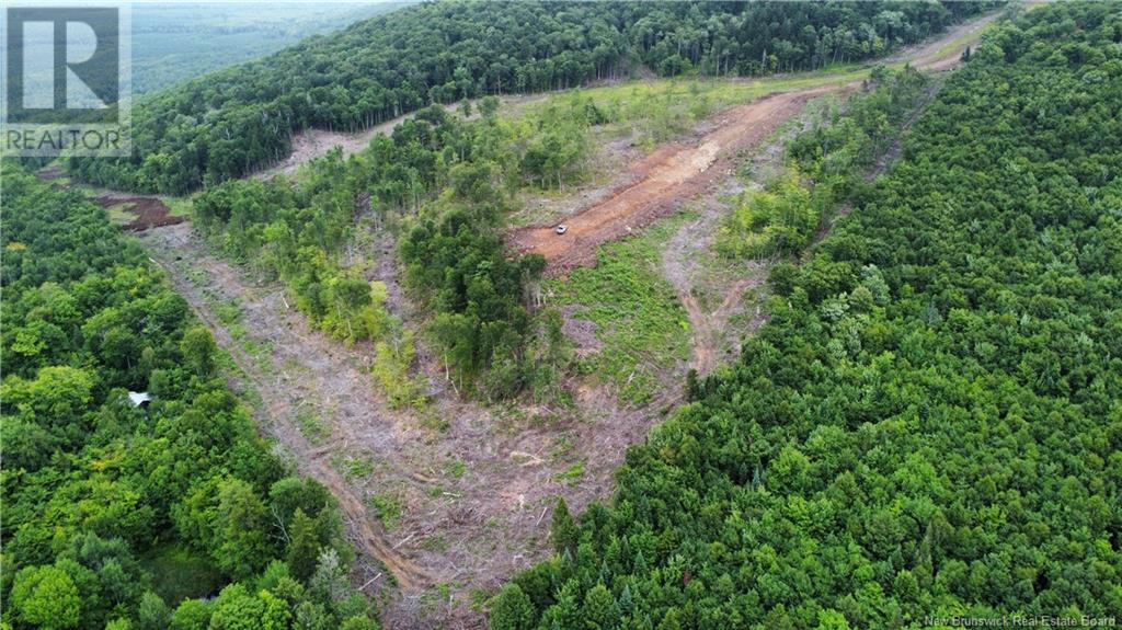 Lot 19 Crabbe Mountain Property Photo 7