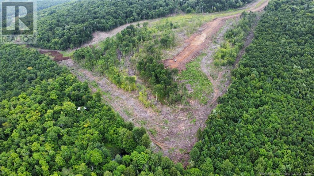 Lot 19 Crabbe Mountain Property Photo 10