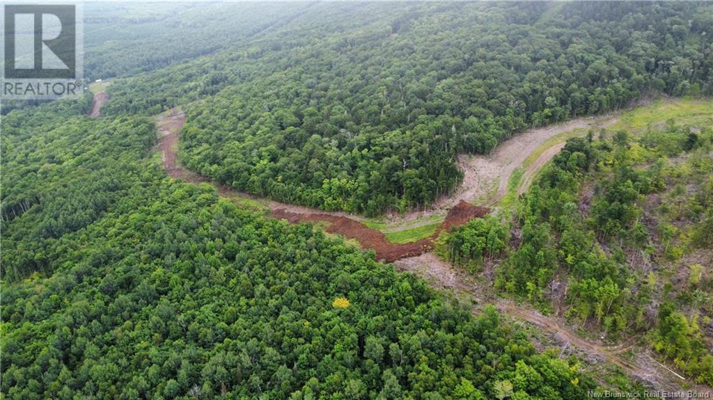 Lot 13 Crabbe Mountain Property Photo 5