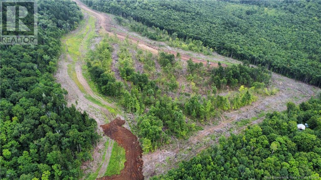 Lot 13 Crabbe Mountain Property Photo 8
