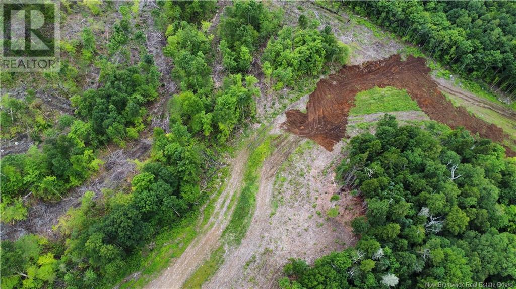 Lot 13 Crabbe Mountain Property Photo 11