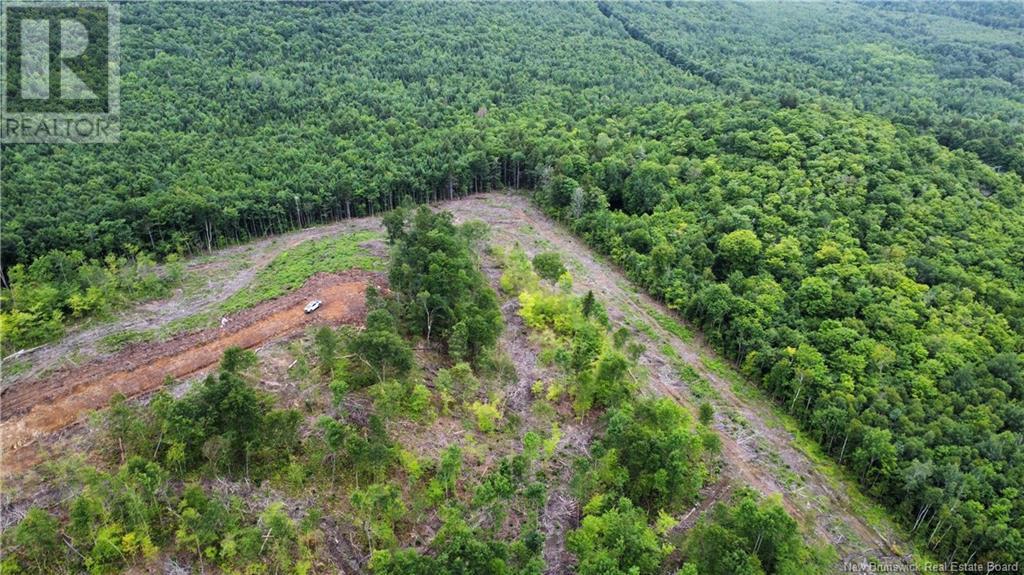 Lot 13 Crabbe Mountain Property Photo 12