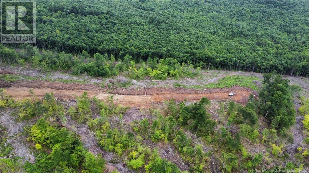 Lot 13 Crabbe Mountain Property Photo 13