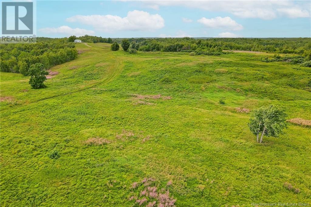 Lot Chapman Road Property Photo 17