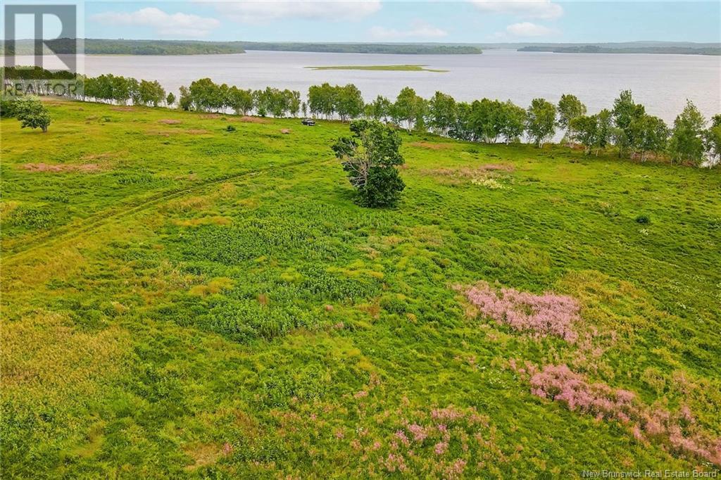 Lot Chapman Road Property Photo 20