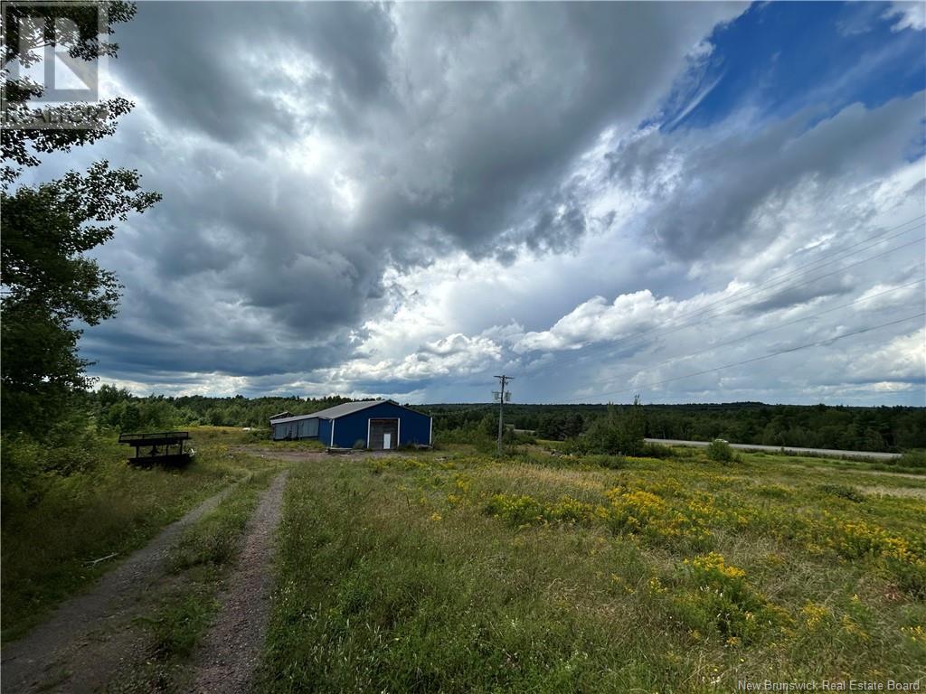 33 Reardon Road Property Photo 6