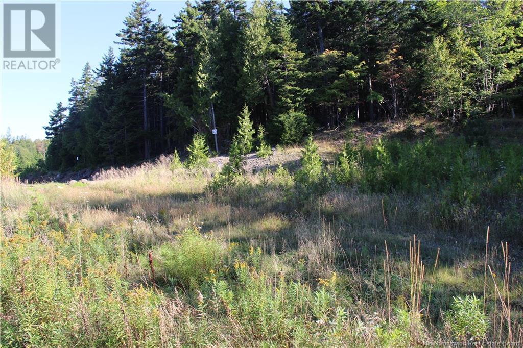 00 Drury Cove Road Property Photo 1