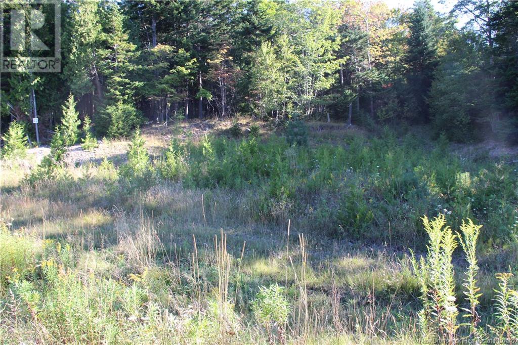 00 Drury Cove Road Property Photo 2