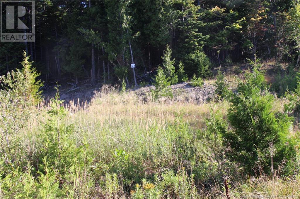 00 Drury Cove Road Property Photo 3