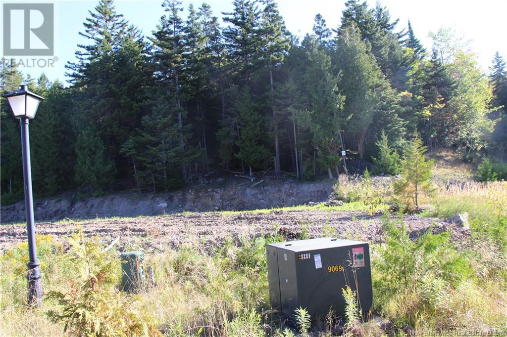 00 Drury Cove Road Property Photo 4