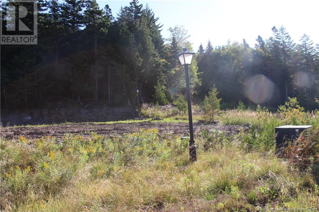 00 Drury Cove Road Property Photo 5