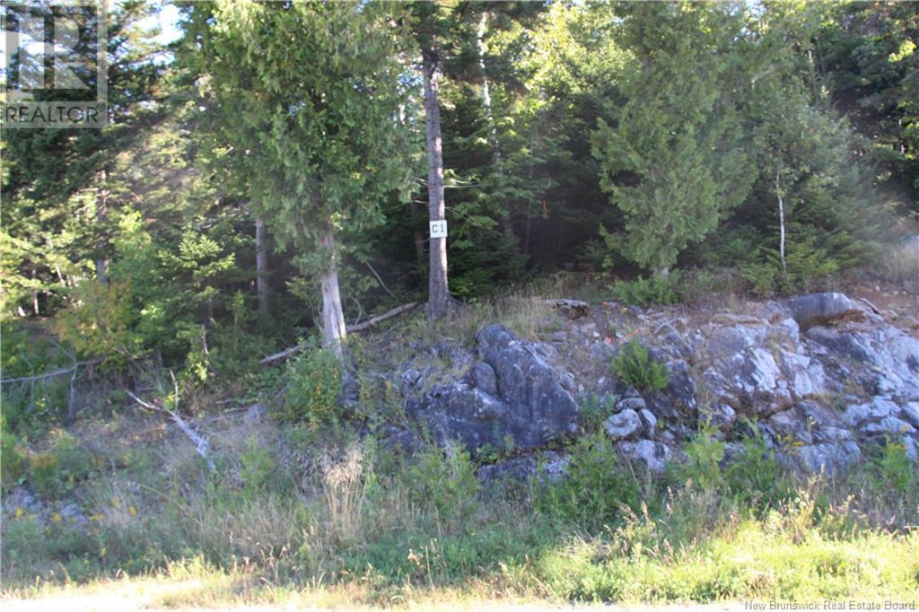 00 Drury Cove Road Property Photo 2